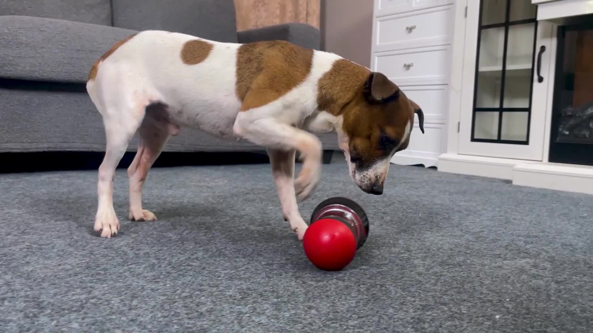 Durable Interactive Dog Treat Dispenser Toy
